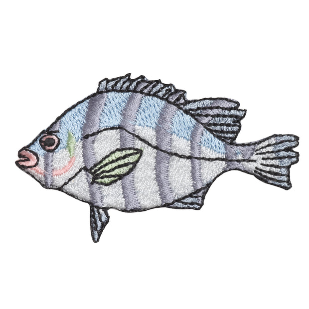 Patch／Striped Beakfish