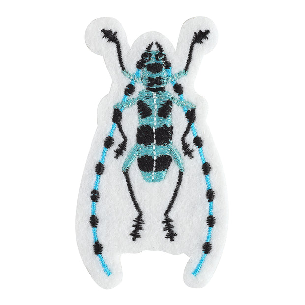 Patch／Longhorn beetle (Rosalia batesi)