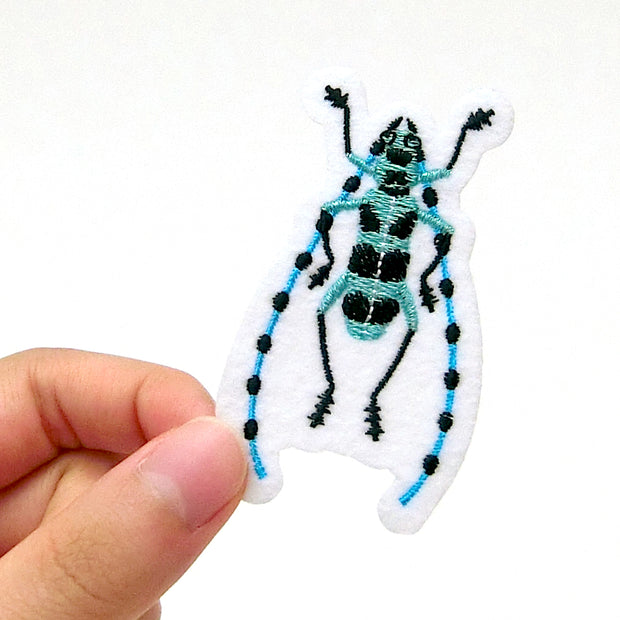 Patch／Longhorn beetle (Rosalia batesi)