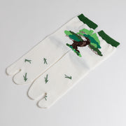 Tabi Socks／"Goyo-matsu" (Five Needle Pine)