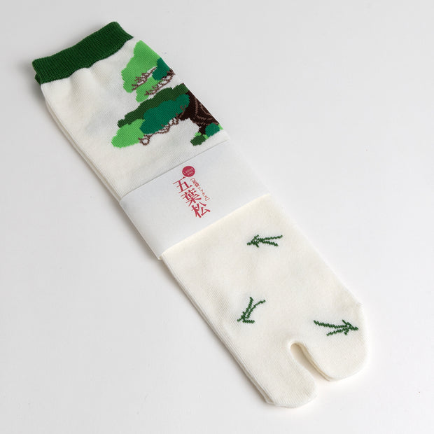 Tabi Socks／"Goyo-matsu" (Five Needle Pine)