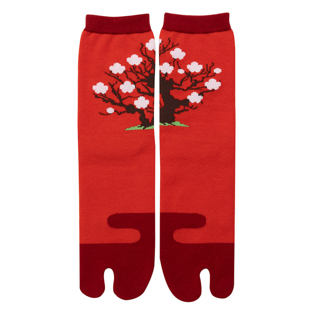 Tabi Socks／"Haku-bai" (White Plum Blossom)