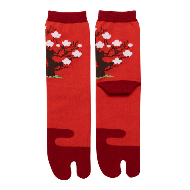 Tabi Socks／"Haku-bai" (White Plum Blossom)