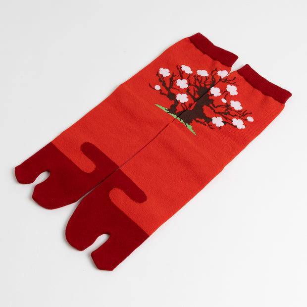 Tabi Socks／"Haku-bai" (White Plum Blossom)