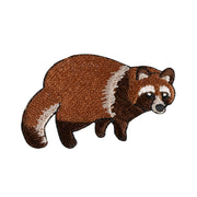 Patch／Honshu Tanuki (Raccoon Dog)