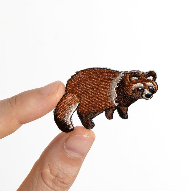 Patch／Honshu Tanuki (Raccoon Dog)