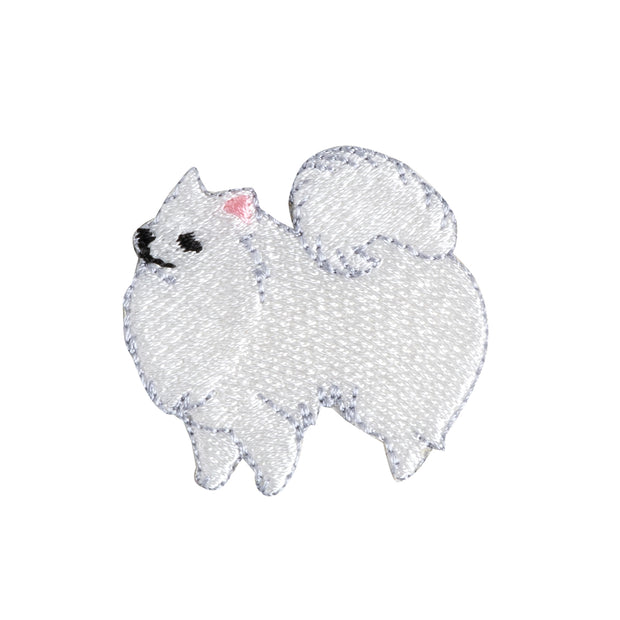 Patch／Japanese Spitz Dog