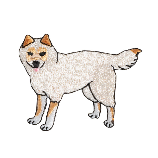 Patch／Sanin Shiba Inu