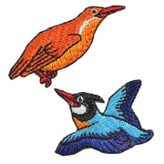 Patch／Ruddy Kingfisher / Black-capped Kingfisher