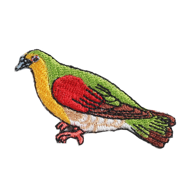 Patch／White-bellied Green Pigeon
