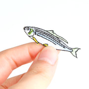 Patch／Gizzard Shad