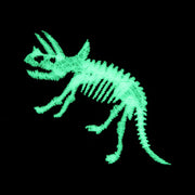 Patch／Triceratops skeleton