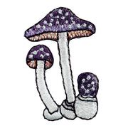 Patch／Koutake Mushroom