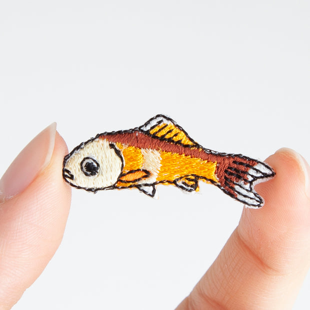 Patch／Common Goldfish