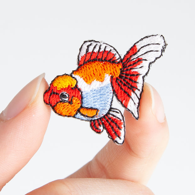 Patch／Oranda Lionhead Goldfish