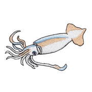 Patch／Japanese Common Squid