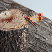 Patch／Banded darter dragonfly
